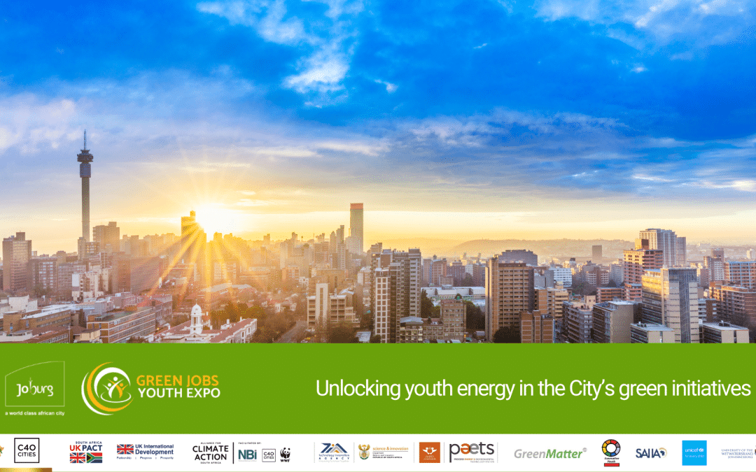 Panel Discussion – Greening the City of Gold: Joburg’s Path to Prosperity